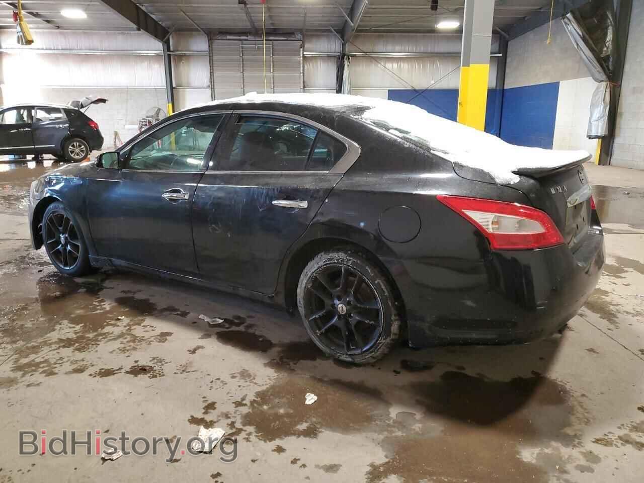 2010 NISSAN MAXIMA - VIN: 1N4AA5AP9AC815023 - Фото 2