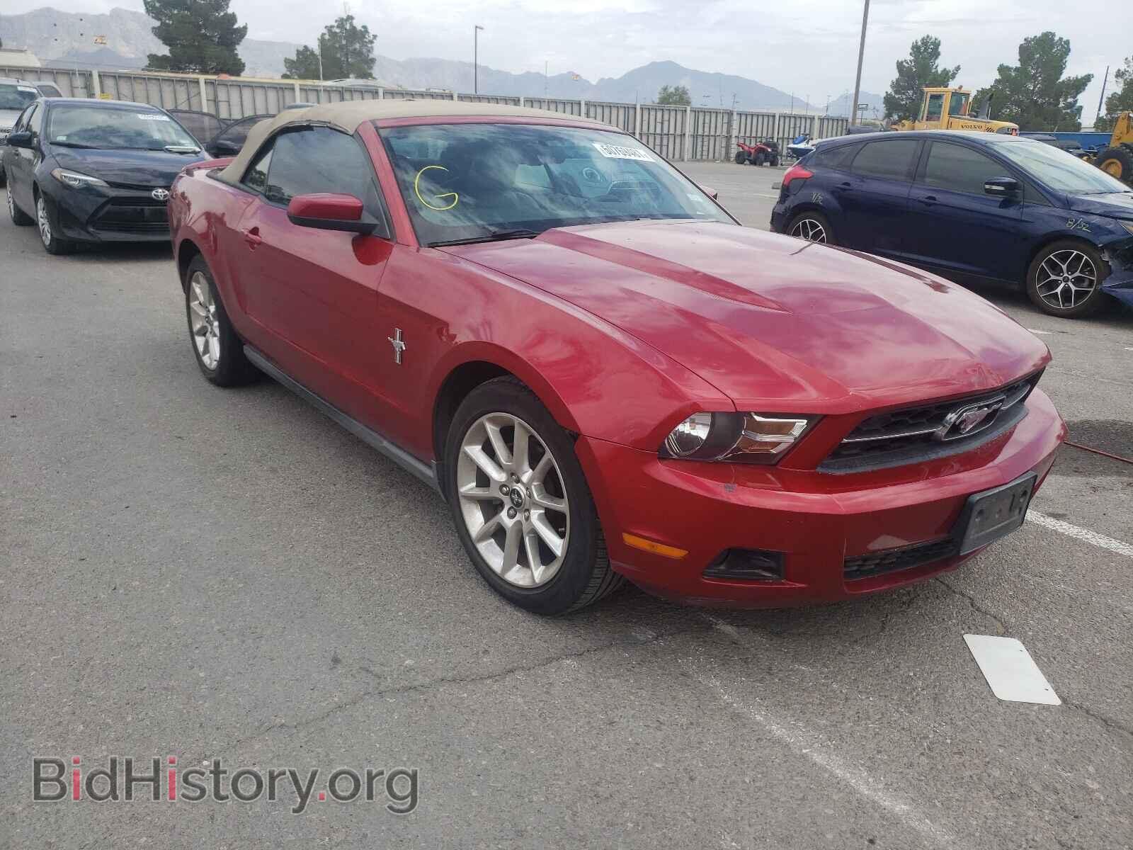 Фотография 1ZVBP8EN2A5102425 - FORD MUSTANG 2010