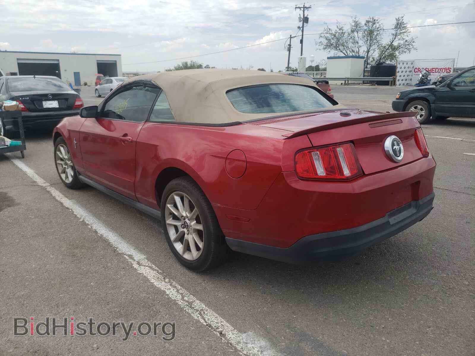 2010 FORD MUSTANG - VIN: 1ZVBP8EN2A5102425 - Фото 3