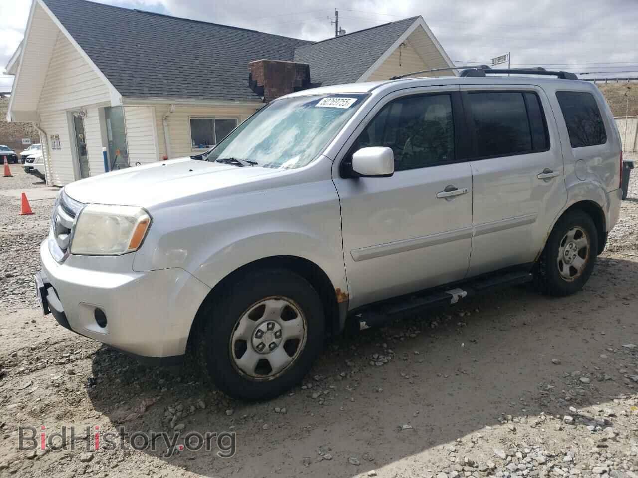 Фотография 5FNYF48239B050517 - HONDA PILOT 2009