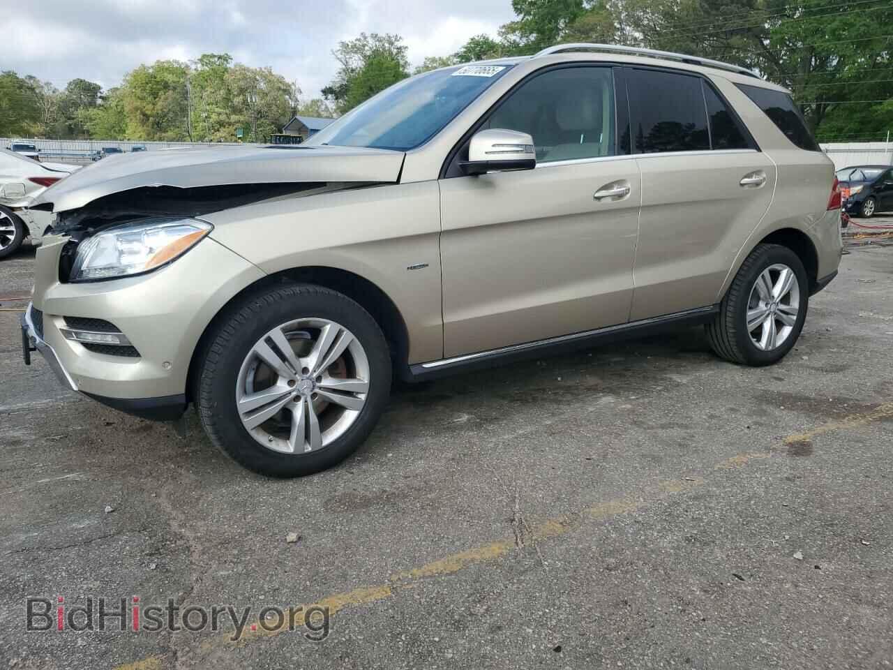Photo 4JGDA5HB1CA078718 - MERCEDES-BENZ M-CLASS 2012