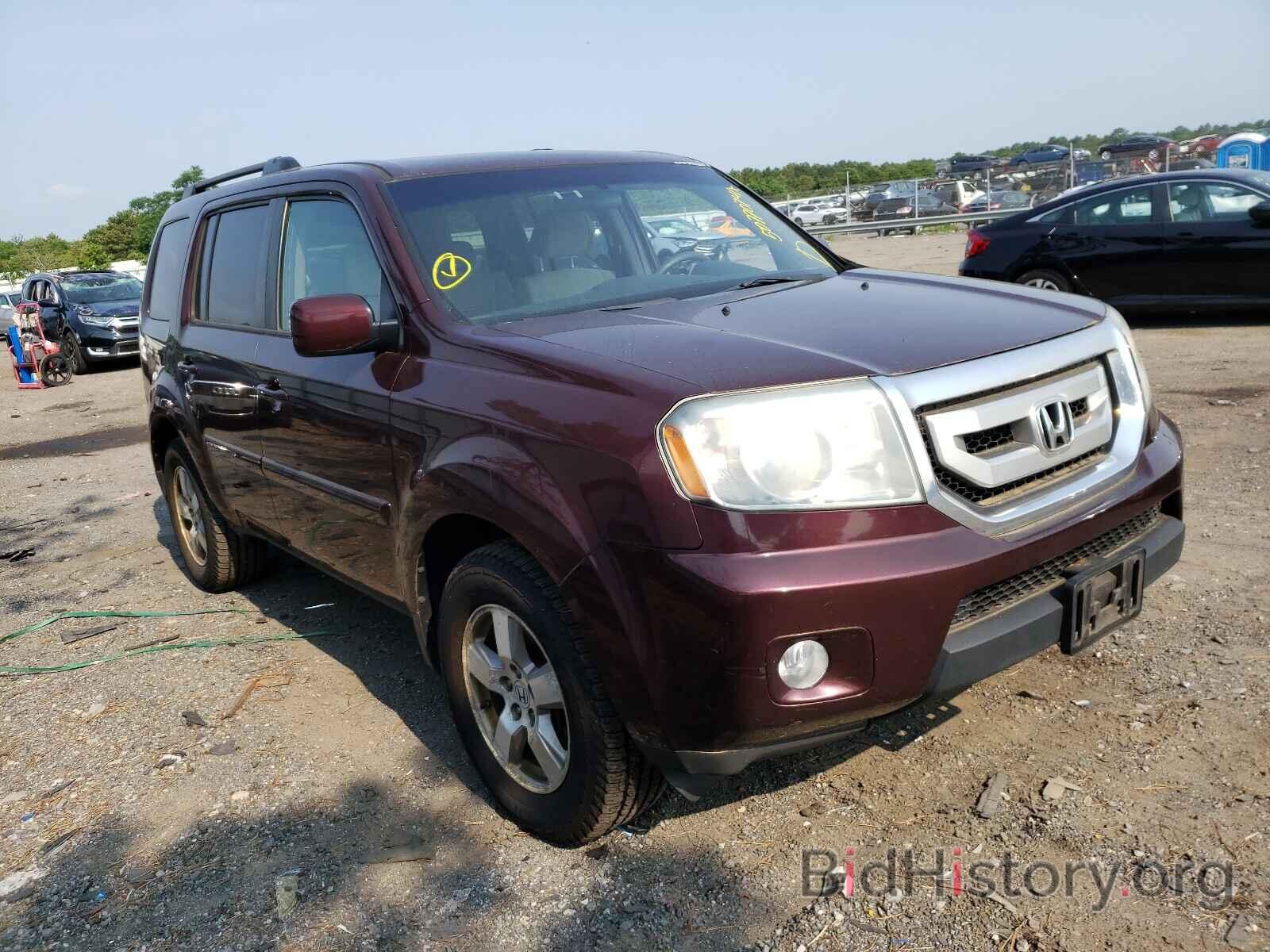 Photo 5FNYF4H49AB031444 - HONDA PILOT 2010