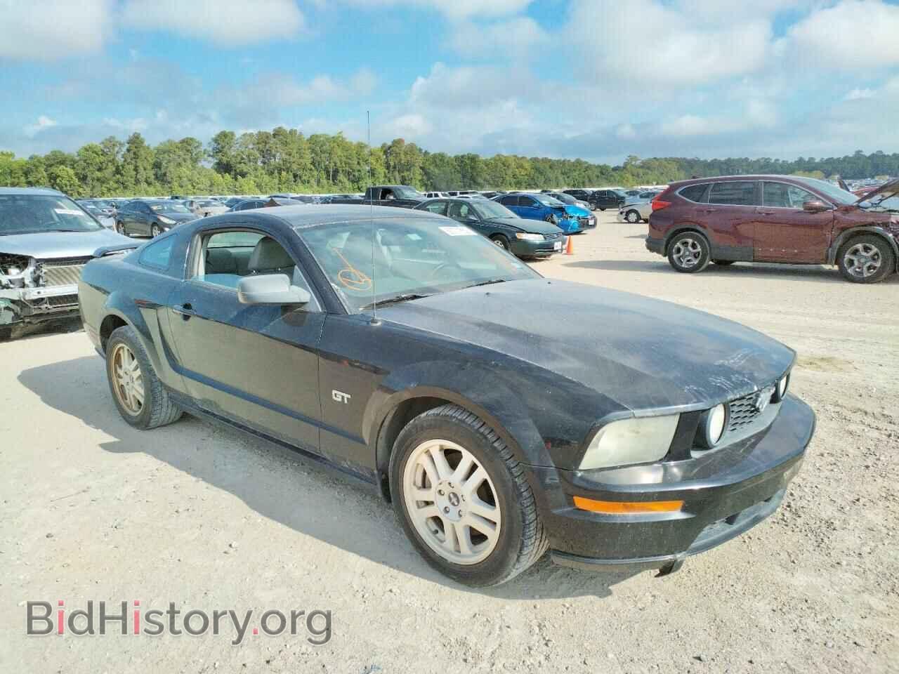 Фотография 1ZVFT82H075206965 - FORD MUSTANG 2007
