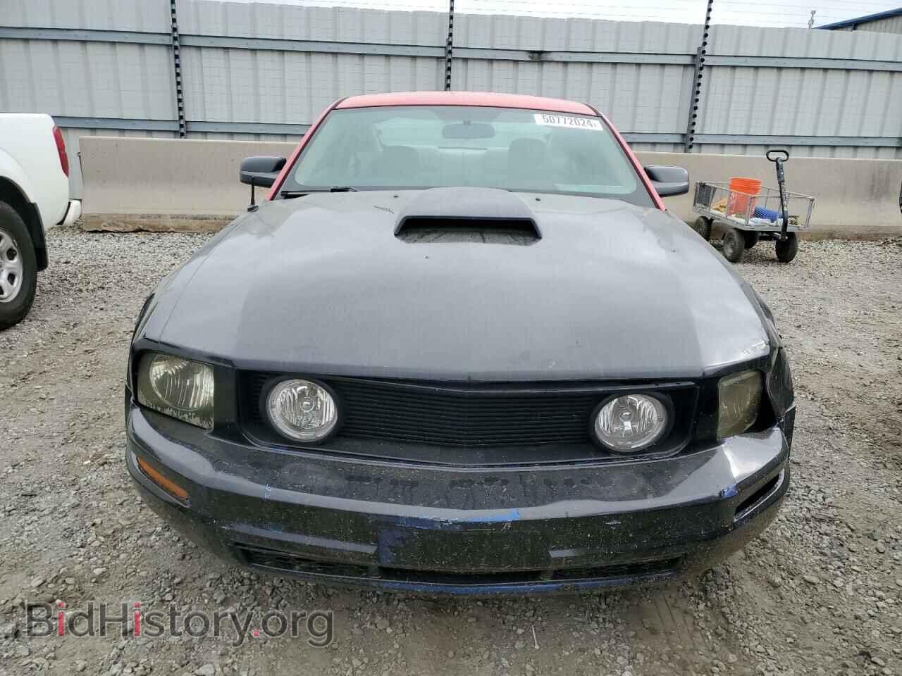2008 FORD ALL Models - VIN: 1ZVHT80N685201014 - Photo 5
