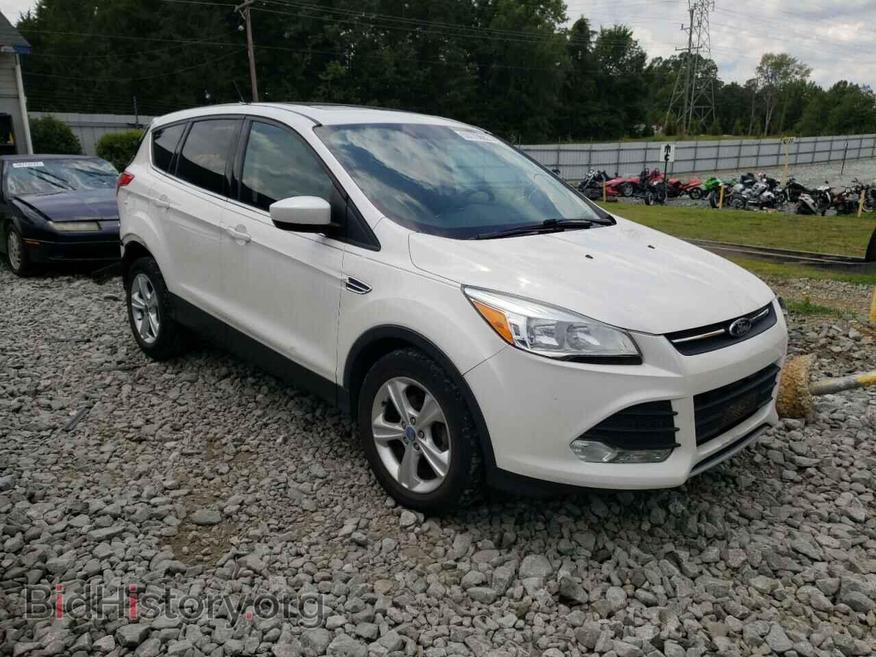 Фотография 1FMCU0GX4DUB44312 - FORD ESCAPE 2013
