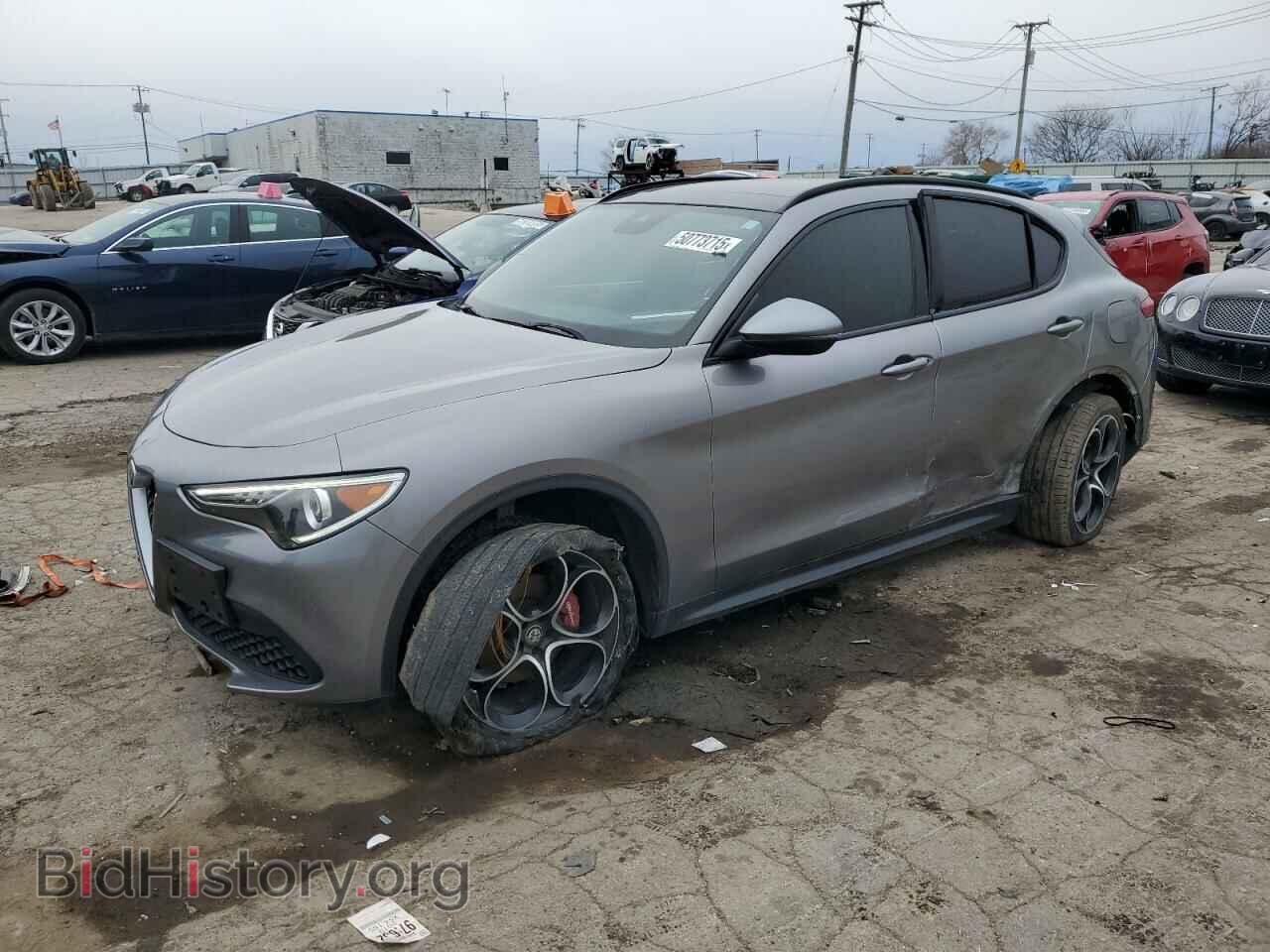 Фотография ZASPAKBNXK7C51920 - ALFA ROMEO STELVIO 2019
