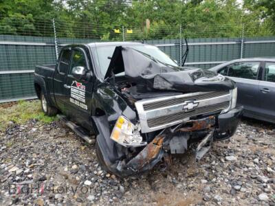 2009 Chevrolet SILVERADO, черный — VIN 1GCEK39069Z288863, Copart