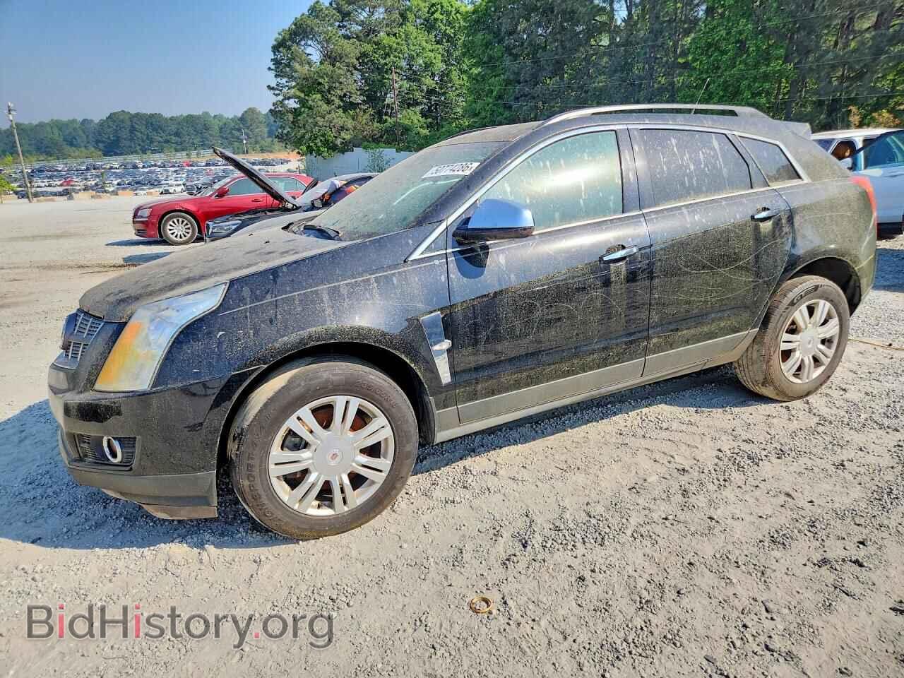 Фотография 3GYFNGEY8AS559335 - CADILLAC SRX 2010