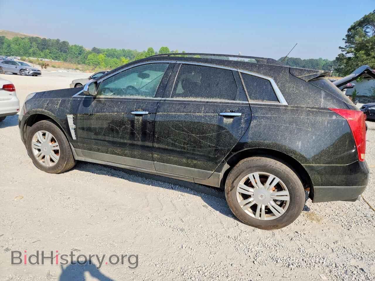 2010 CADILLAC SRX - VIN: 3GYFNGEY8AS559335 - Фото 2