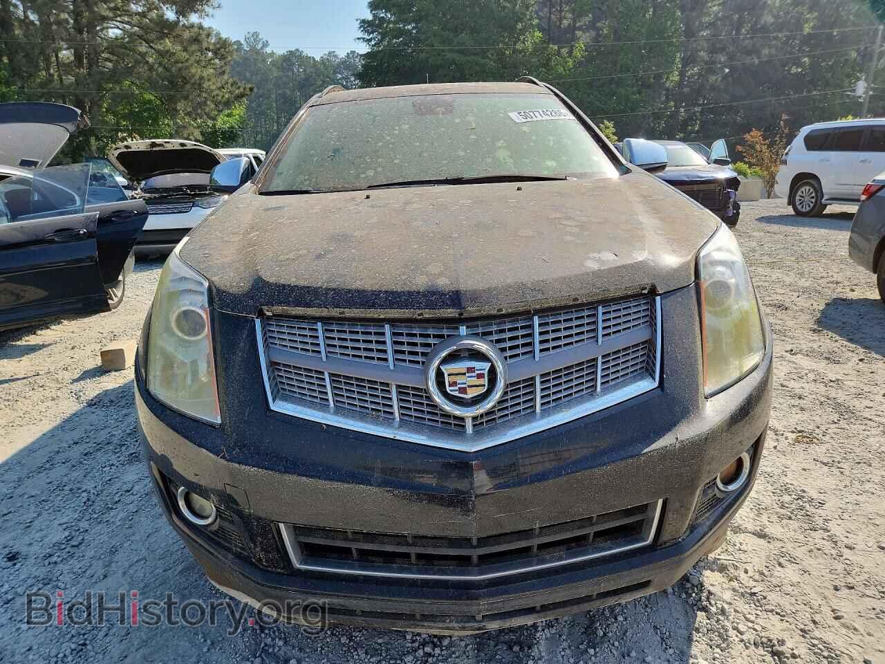 2010 CADILLAC SRX - VIN: 3GYFNGEY8AS559335 - Фото 5