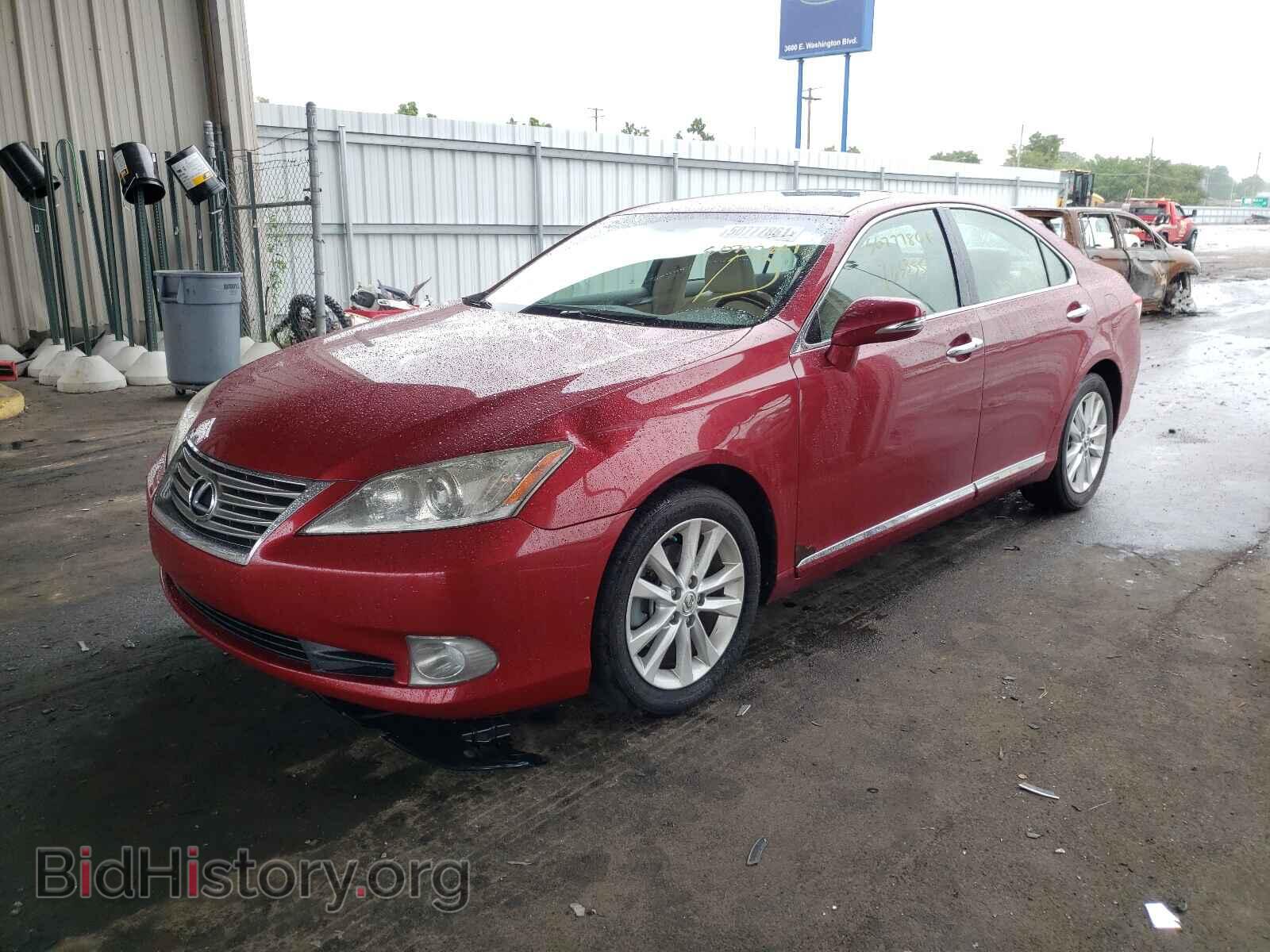 2011 LEXUS ES350 - VIN: JTHBK1EG9B2425883 - Фото 2