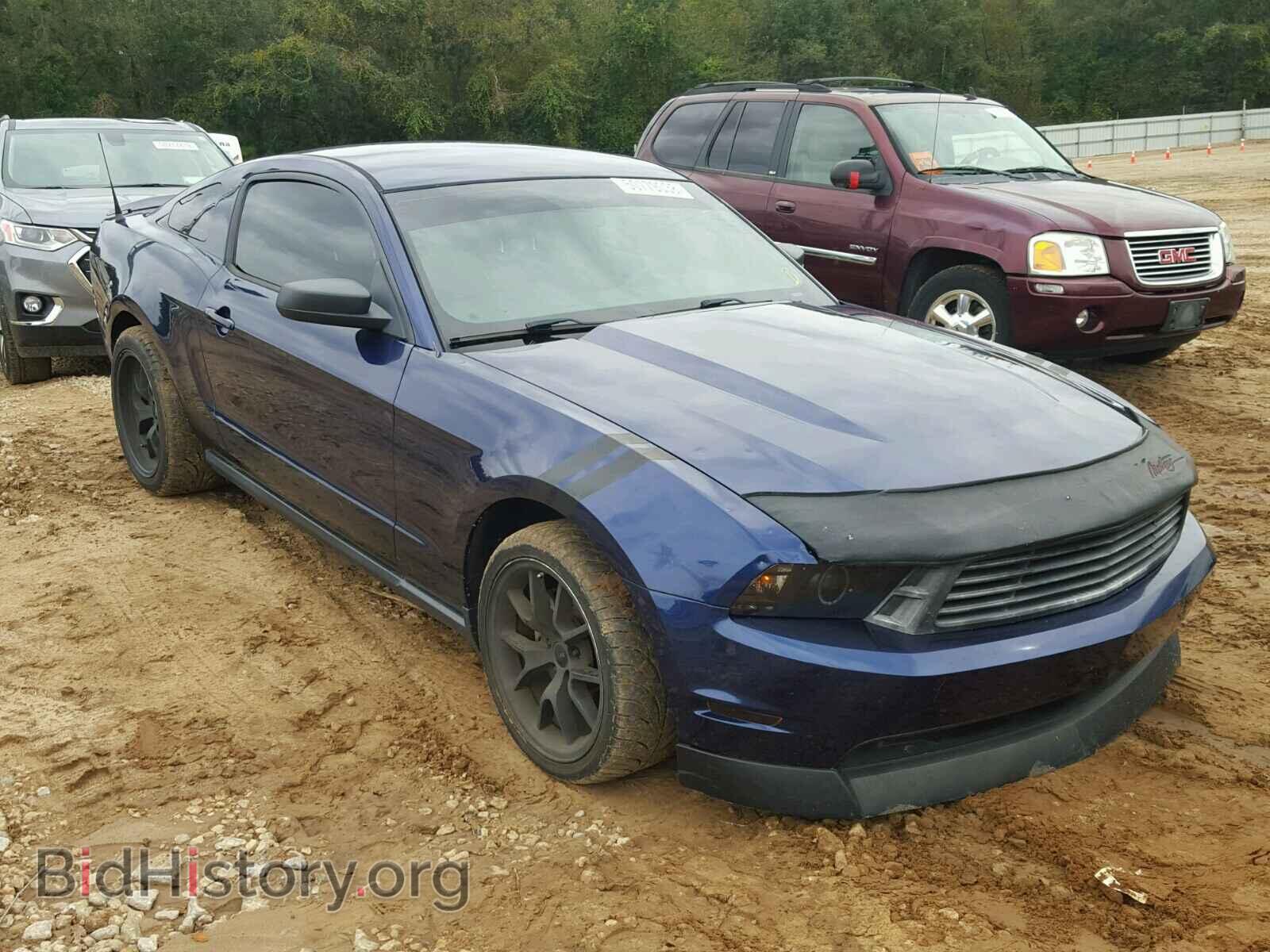 Фотография 1ZVBP8AM1C5234124 - FORD MUSTANG 2012