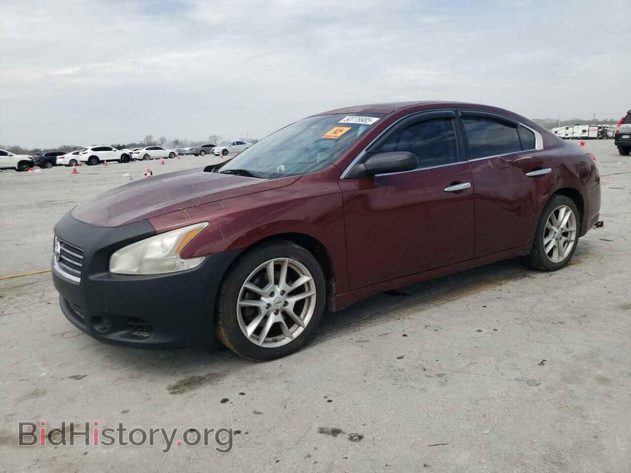 Photo 1N4AA5AP2BC817830 - NISSAN MAXIMA 2011