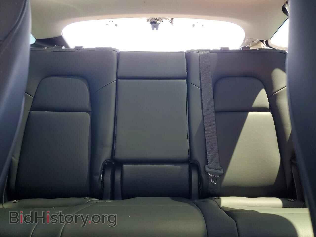 2023 TESLA MODEL Y - VIN: 7SAYGDEE8PF804507 - Фото 10
