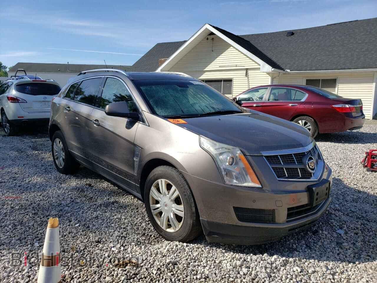 Фотография 3GYFNDEY8BS572604 - CADILLAC SRX 2011