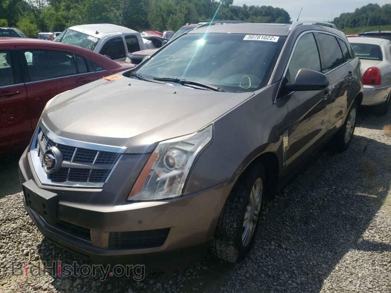 2011 CADILLAC SRX - VIN: 3GYFNDEY8BS572604 - Фото 2