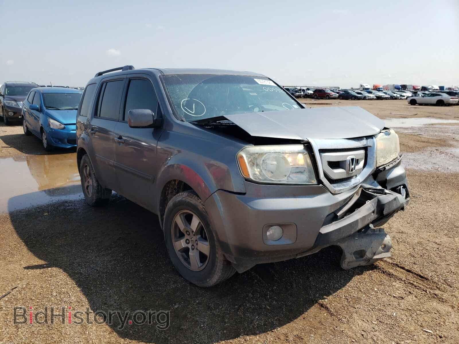 Фотография 5FNYF38559B005325 - HONDA PILOT 2009