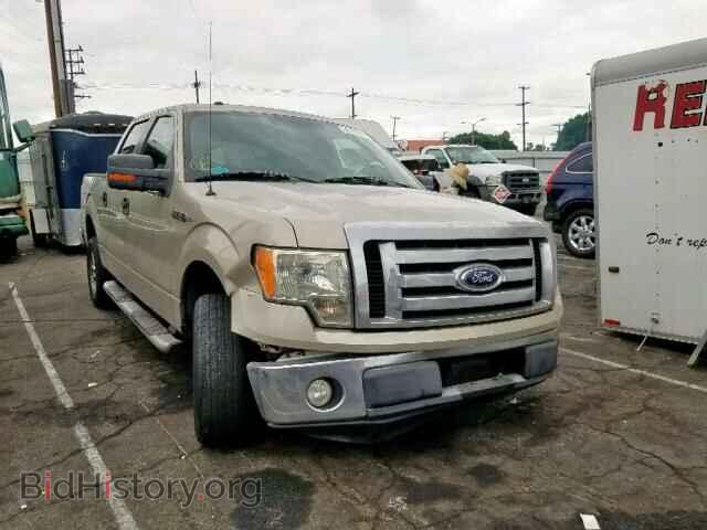 Фотография 1FTRW12819FA94155 - FORD F150 SUPER 2009