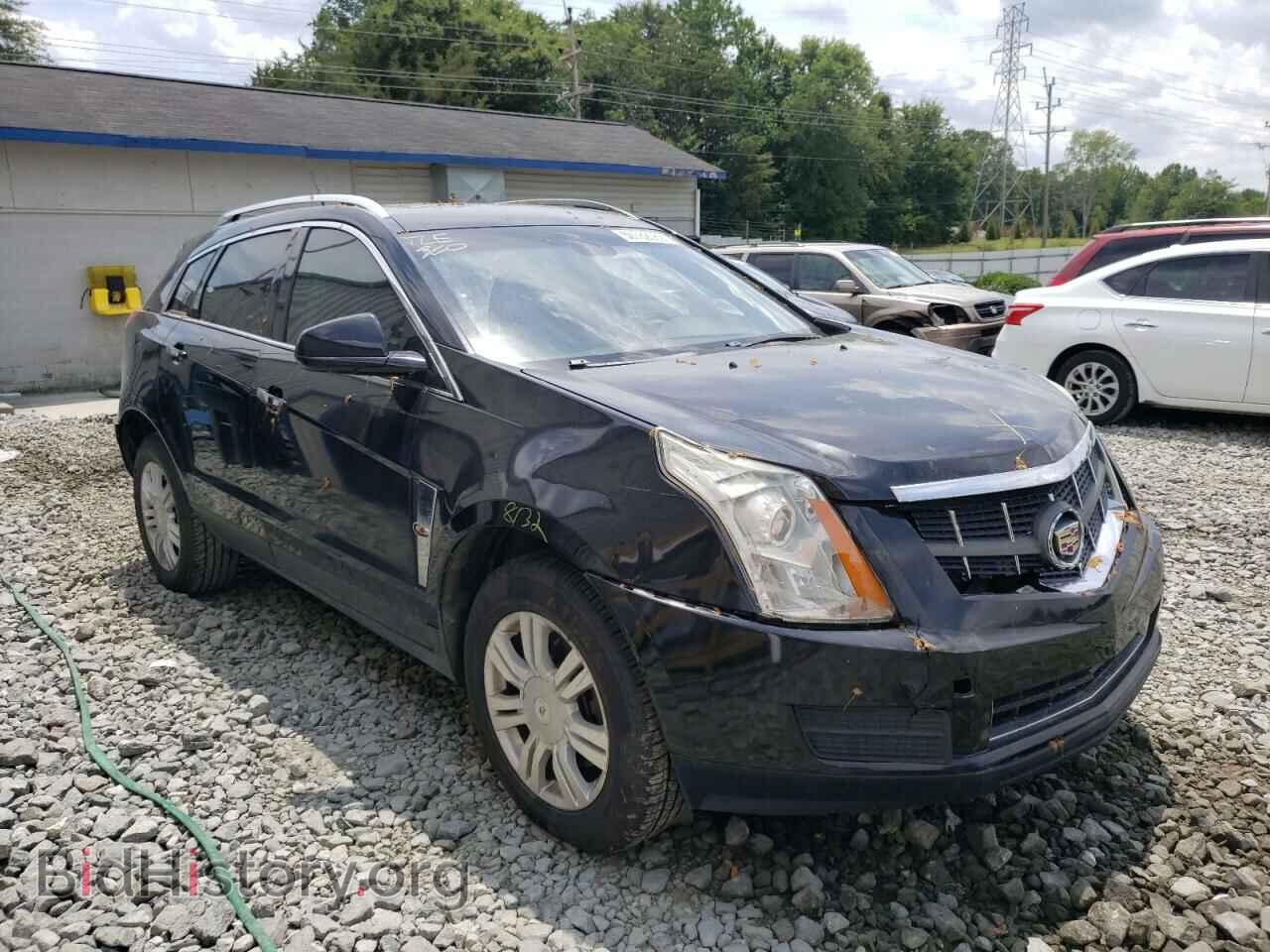 Фотография 3GYFNAEYXAS574951 - CADILLAC SRX 2010