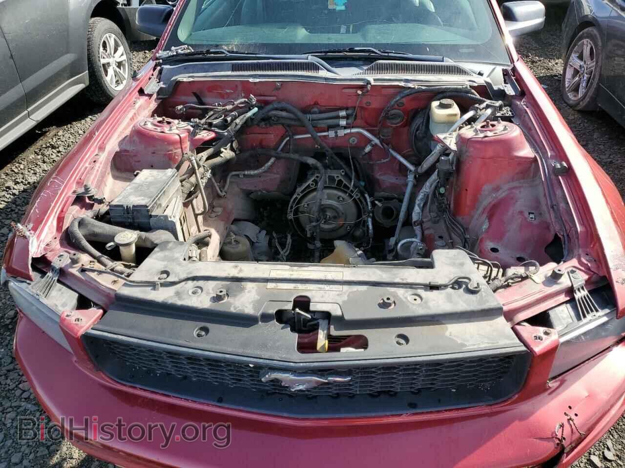 2005 FORD ALL Models - VIN: 1ZVFT84N455231948 - Фото 11