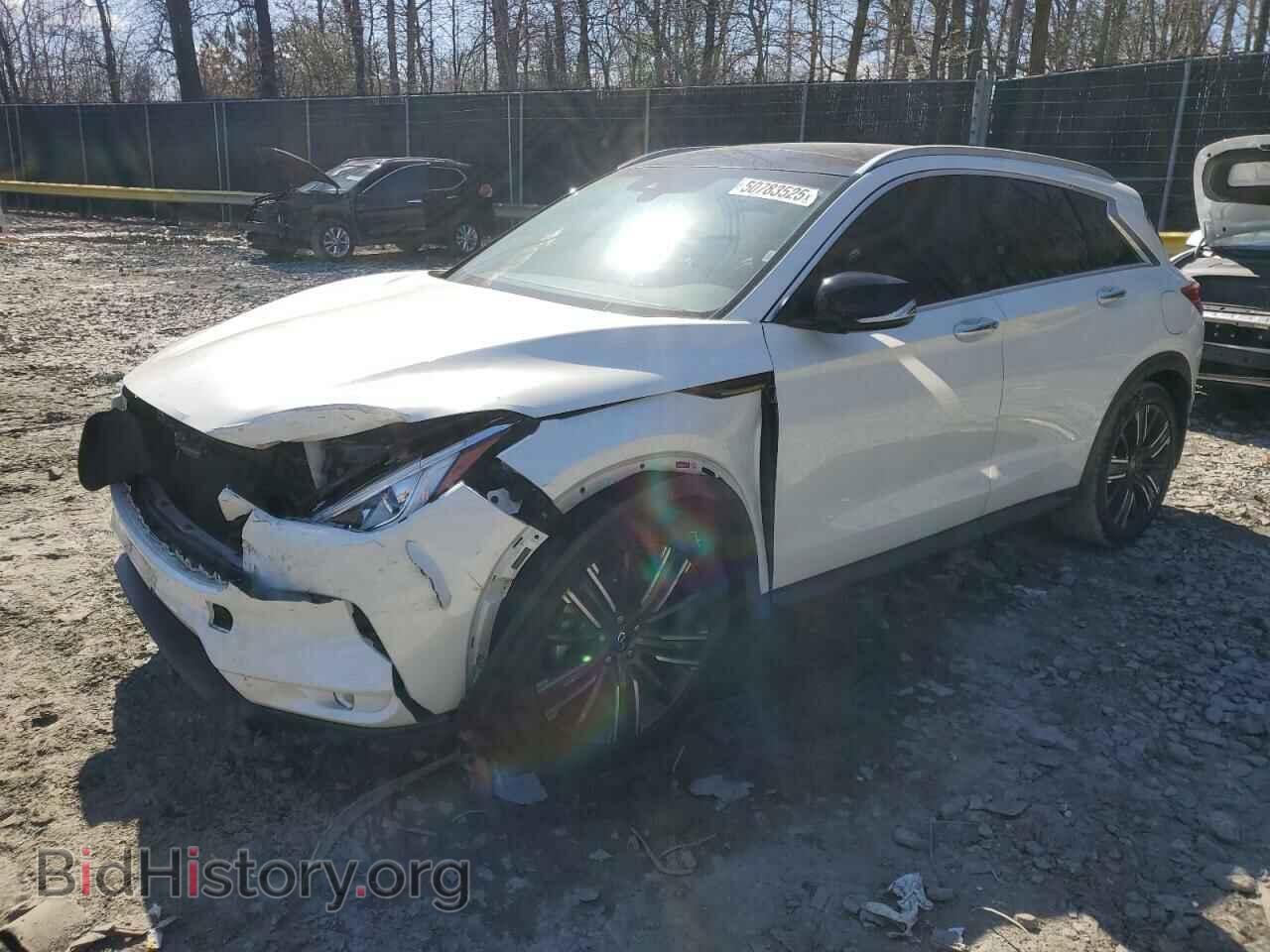 Фотография 3PCAJ5BB9MF121288 - INFINITI QX50 2021