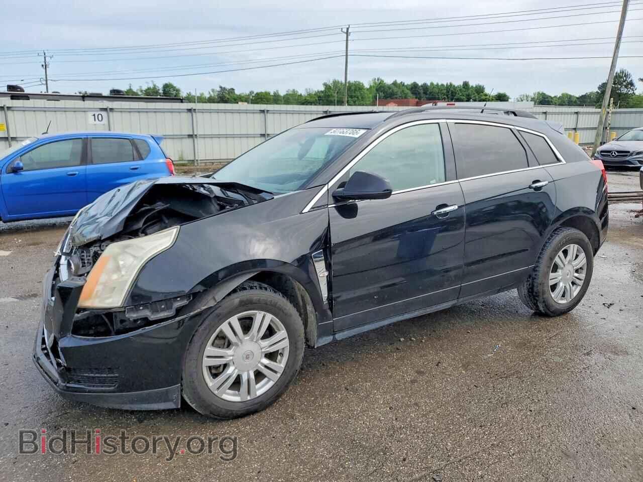 Фотография 3GYFNGEY8AS583151 - CADILLAC SRX 2010