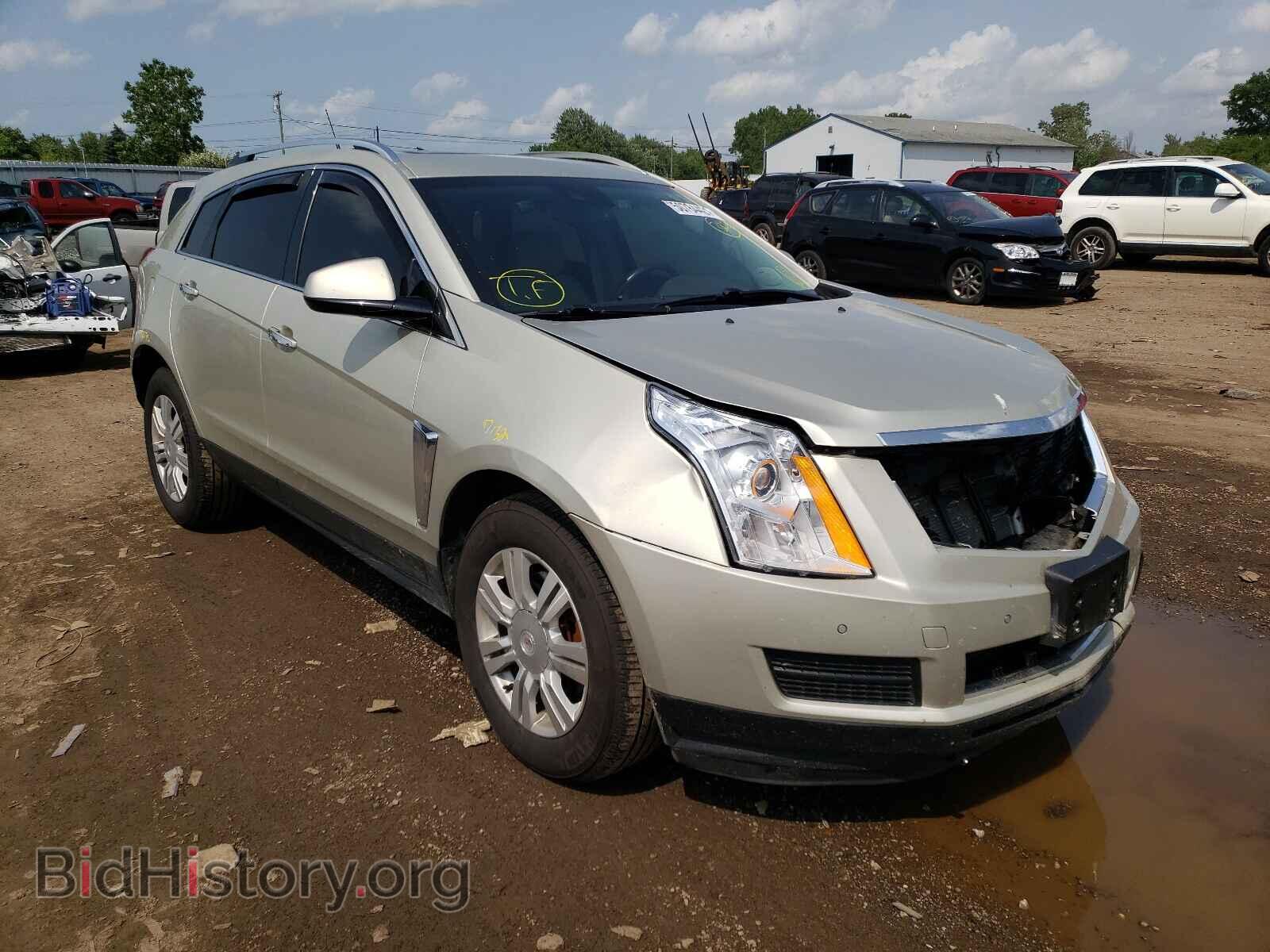 Фотография 3GYFNGE33DS562913 - CADILLAC SRX 2013