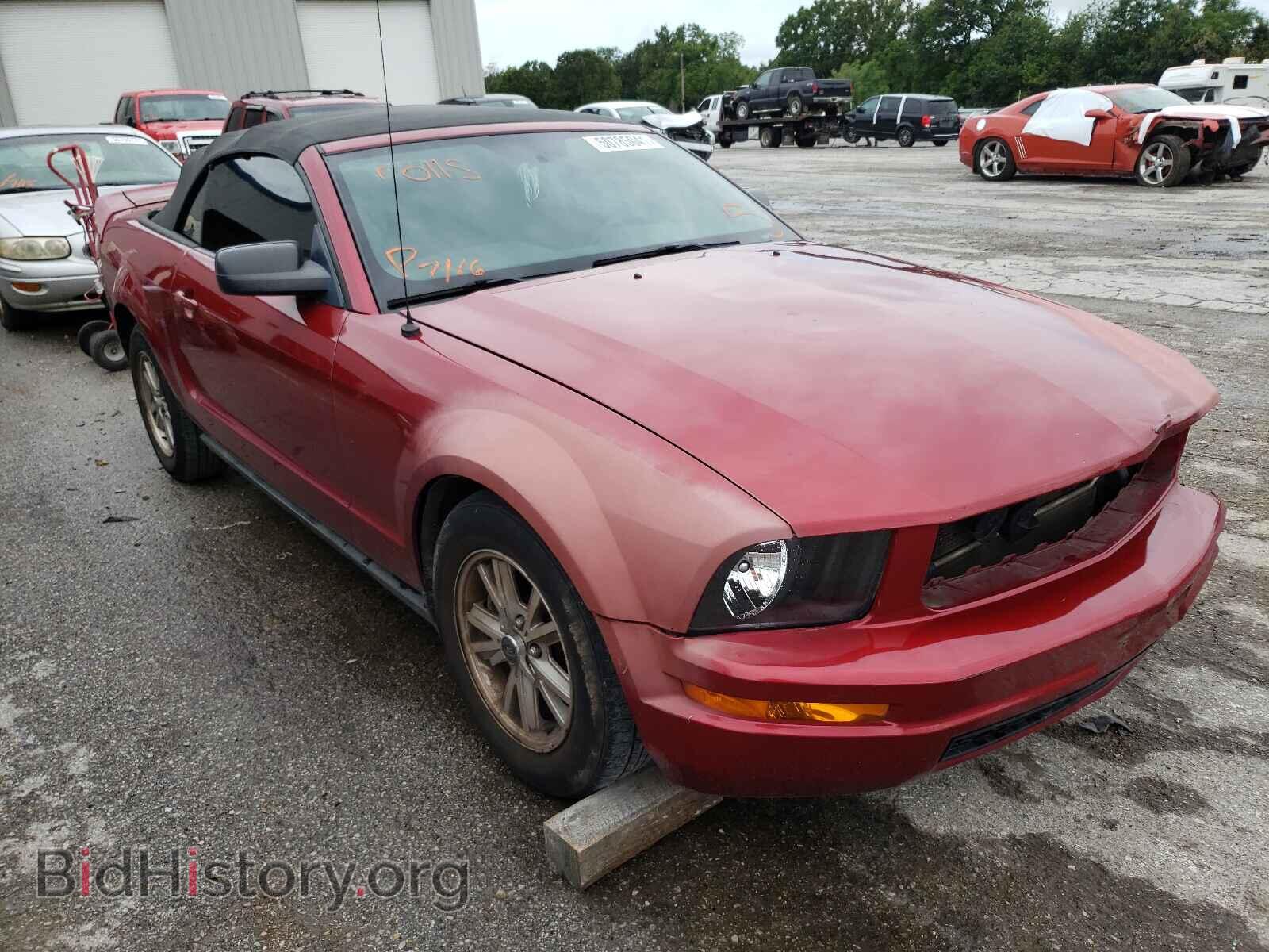 Фотография 1ZVFT84N375321448 - FORD MUSTANG 2007