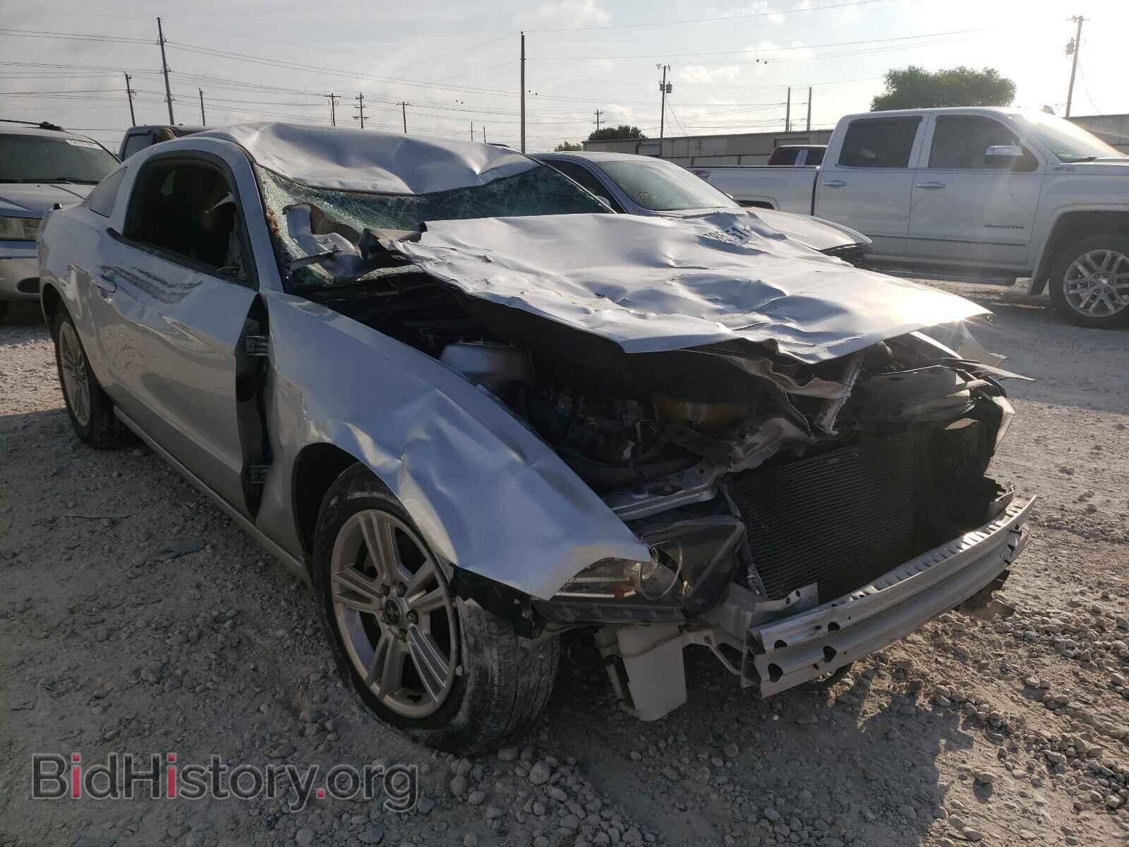 Photo 1ZVBP8AM4E5233438 - FORD MUSTANG 2014
