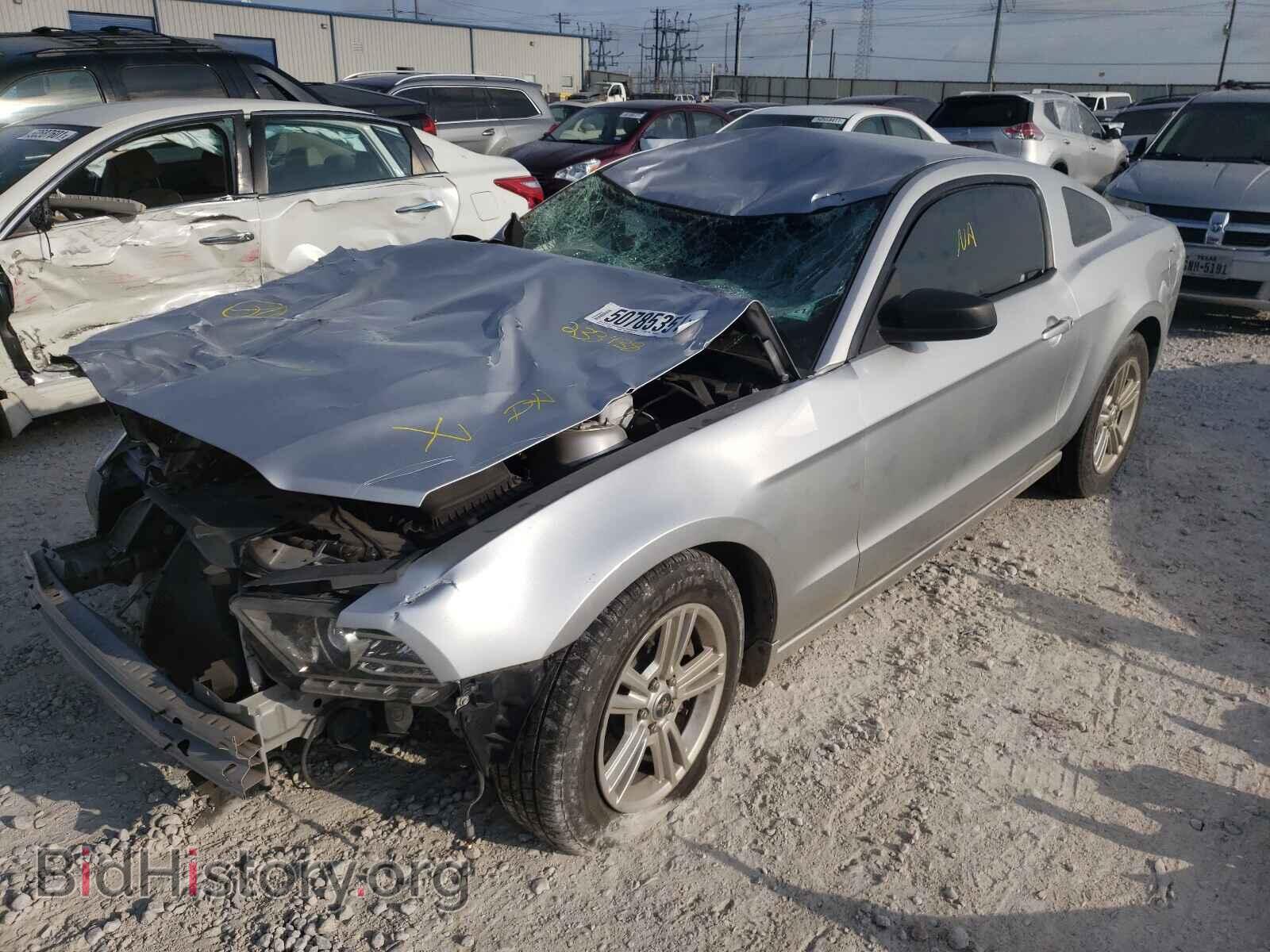 2014 FORD MUSTANG - VIN: 1ZVBP8AM4E5233438 - Фото 2