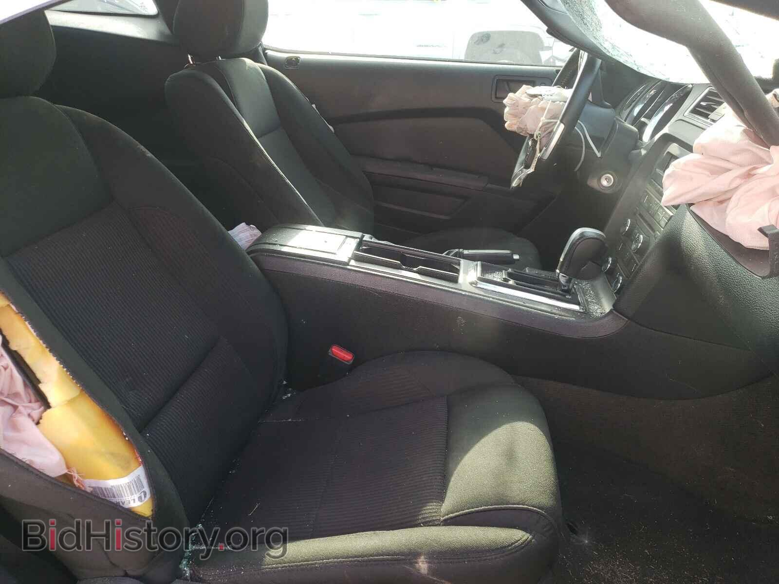 2014 FORD MUSTANG - VIN: 1ZVBP8AM4E5233438 - Фото 5