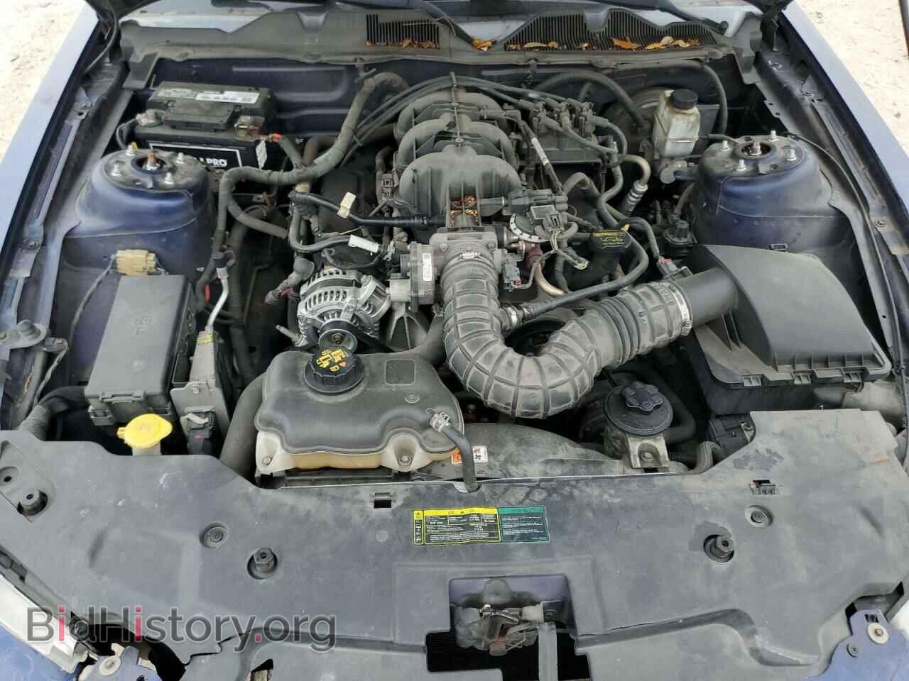 2010 FORD ALL Models - VIN: 1ZVBP8EN4A5158026 - Фото 11