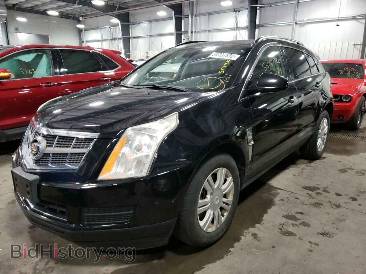 2011 CADILLAC SRX - VIN: 3GYFNGEY1BS608635 - Фото 2
