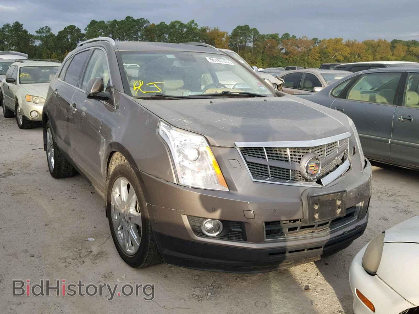 Фотография 3GYFNBE33CS504088 - CADILLAC SRX PERFOR 2012