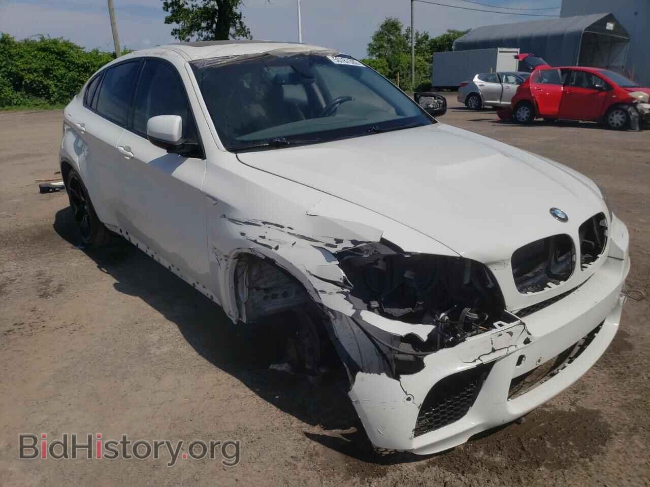 Photo 5UXFG43588L220029 - BMW X6 2008