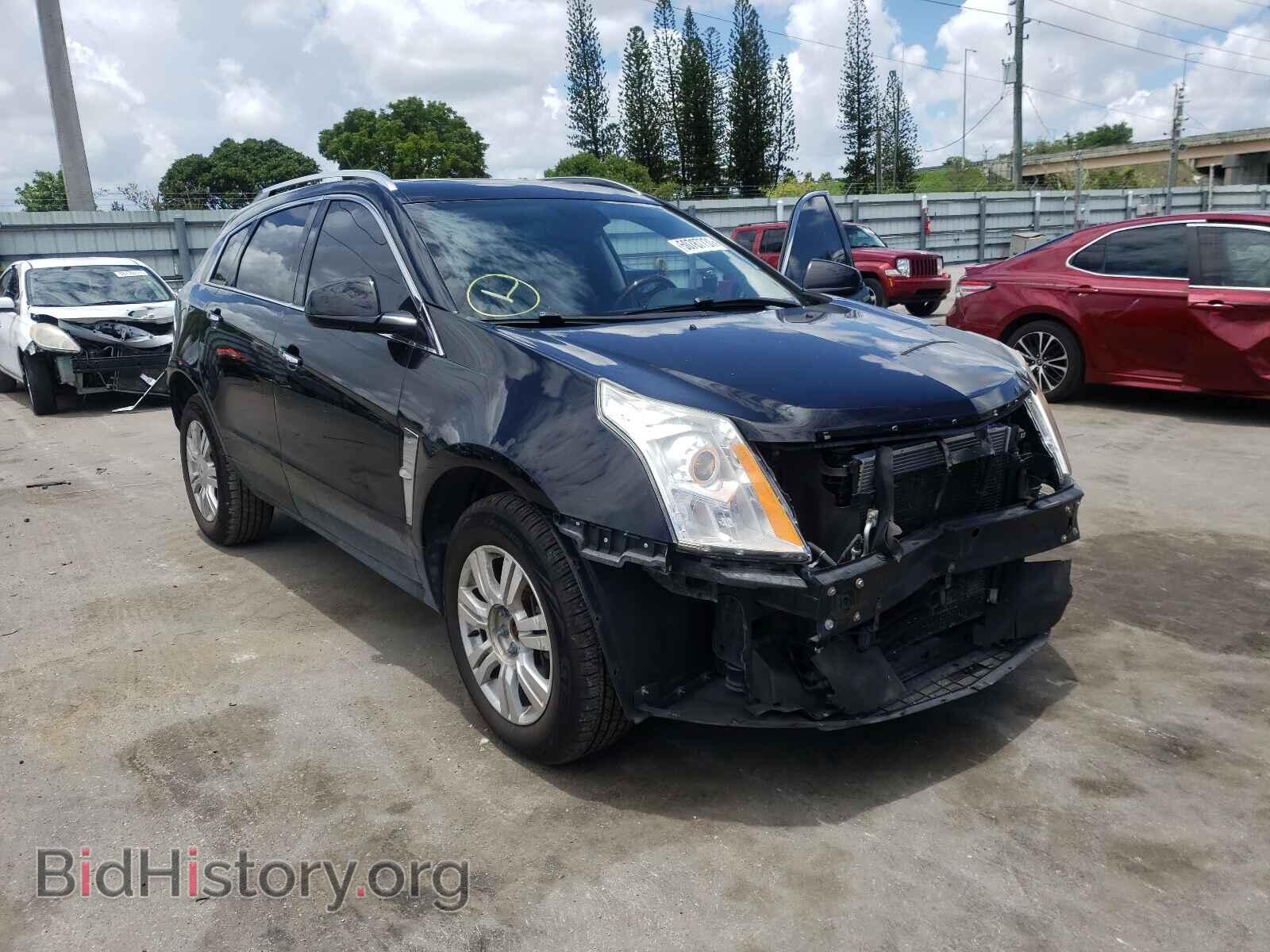 Фотография 3GYFNAEY3AS612830 - CADILLAC SRX 2010