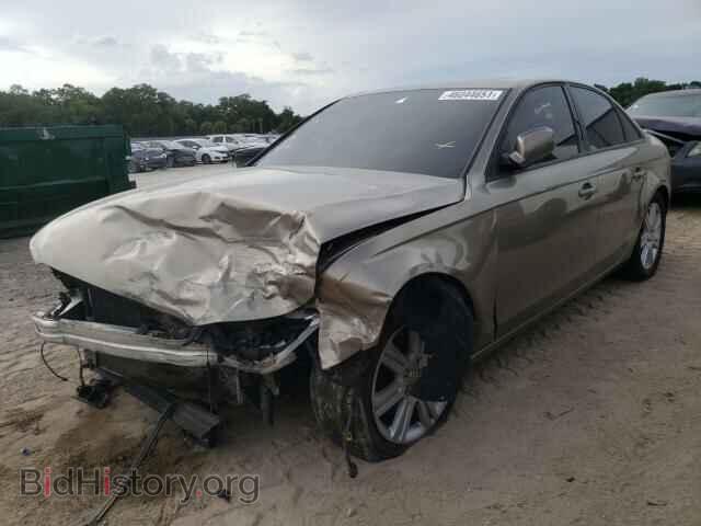 2010 AUDI A4 - VIN: WAUAFAFL7AN058019 - Фото 2