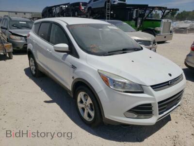 2014 Ford ESCAPE Escape SE, белый — VIN 1FMCU9GX3EUC00911, Copart
