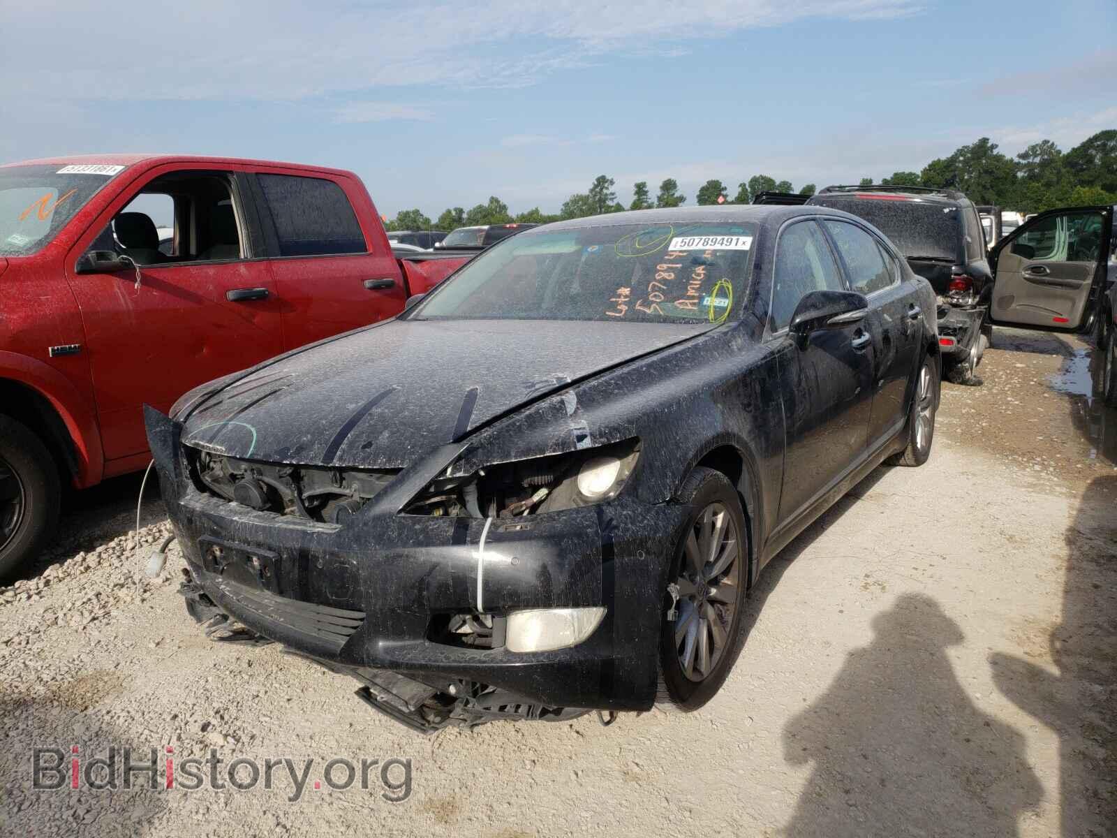 2011 LEXUS LS460 - VIN: JTHDL5EF9B5003227 - Фото 2