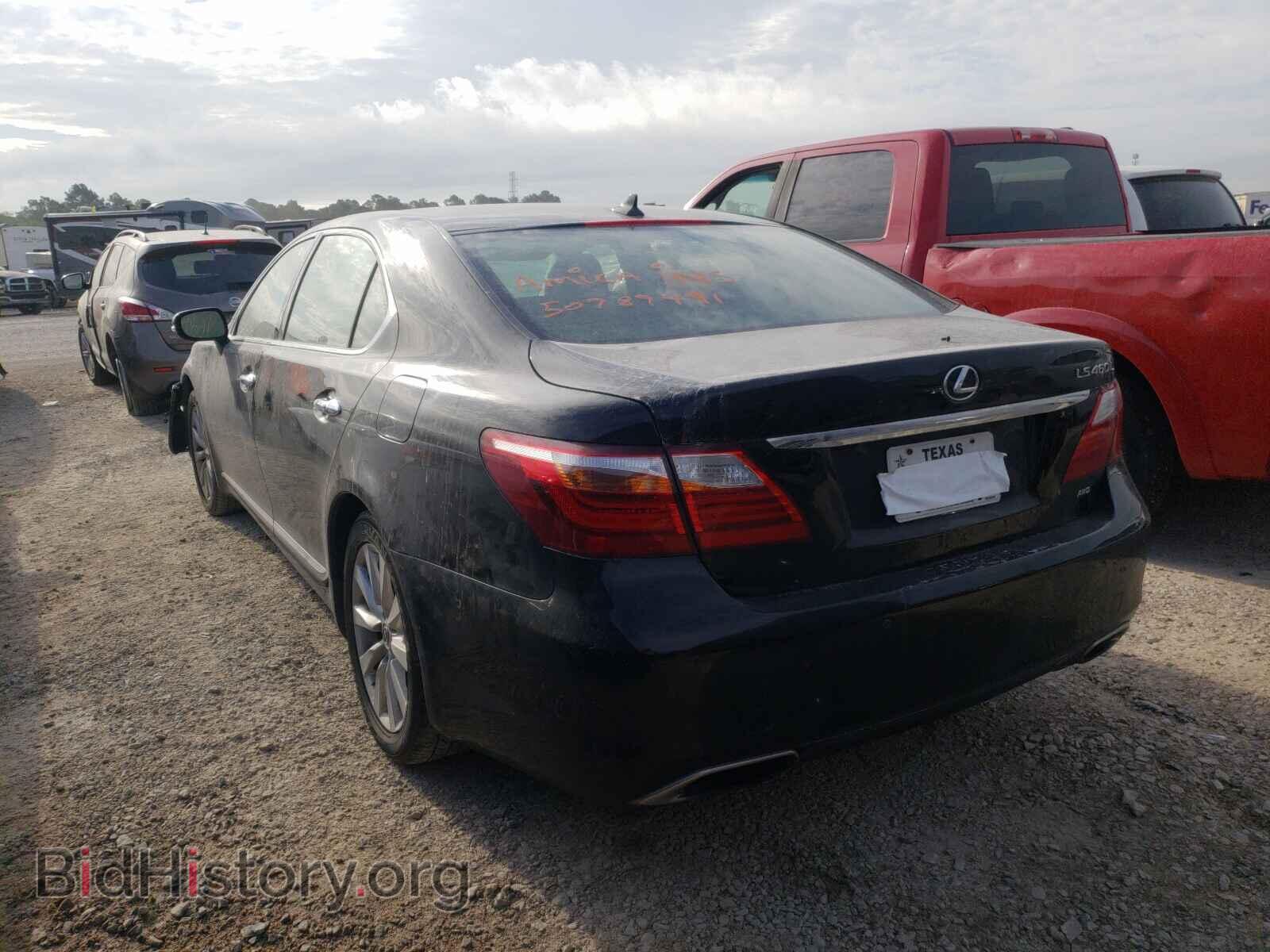 2011 LEXUS LS460 - VIN: JTHDL5EF9B5003227 - Фото 3