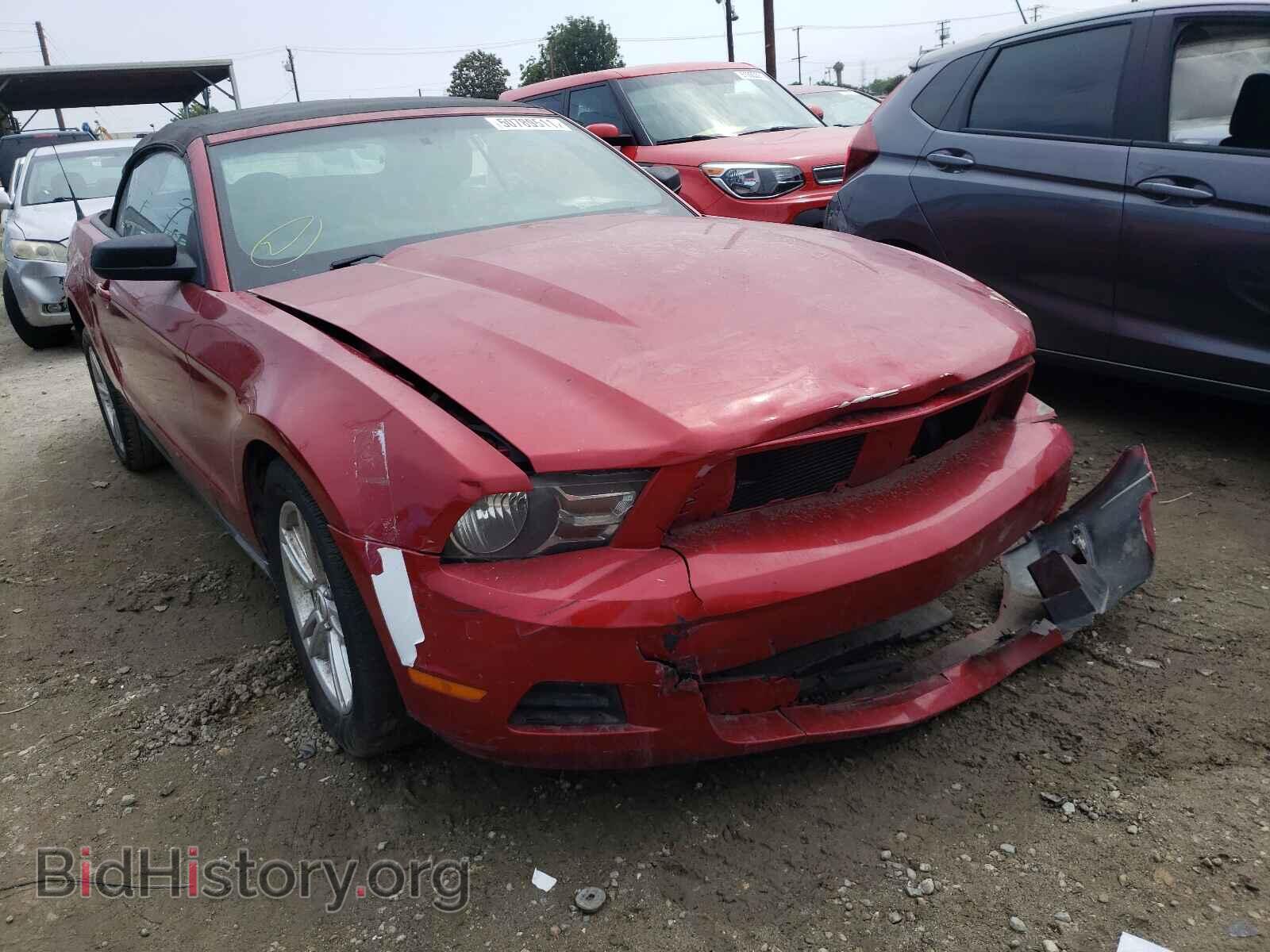 Photo 1ZVBP8EM5B5129336 - FORD MUSTANG 2011