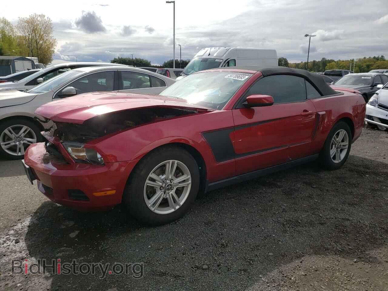 Фотография 1ZVBP8EM0C5265598 - FORD MUSTANG 2012