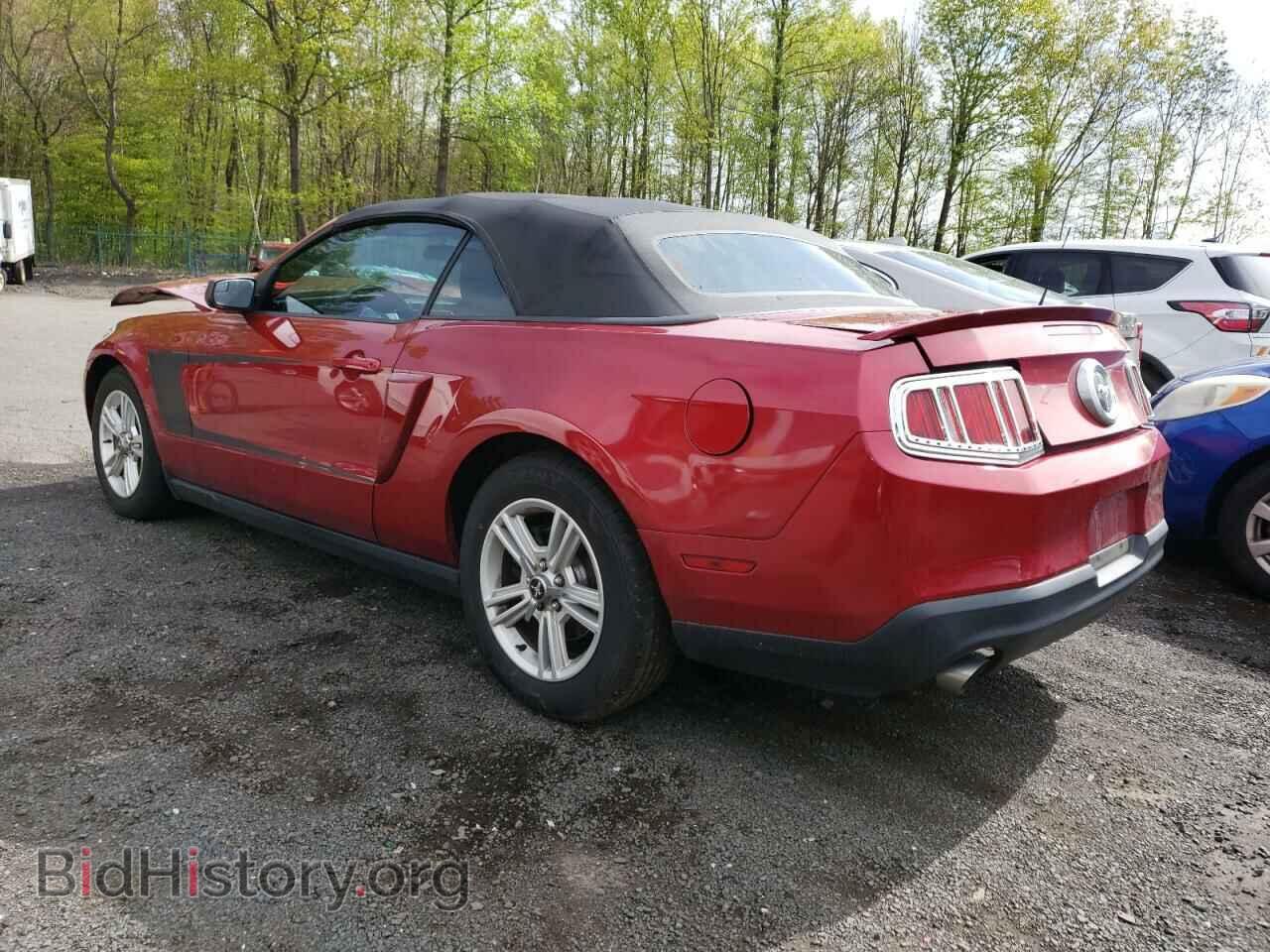 2012 FORD MUSTANG - VIN: 1ZVBP8EM0C5265598 - Фото 2