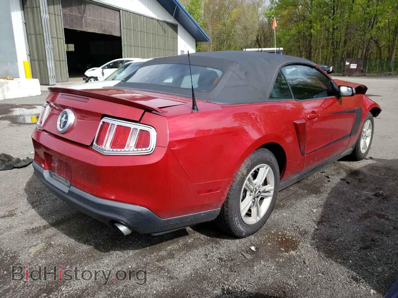 2012 FORD MUSTANG - VIN: 1ZVBP8EM0C5265598 - Фото 3