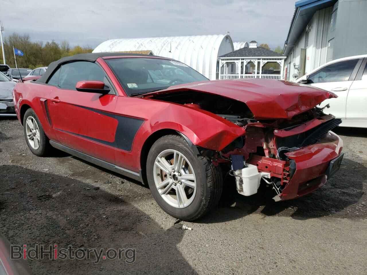 2012 FORD MUSTANG - VIN: 1ZVBP8EM0C5265598 - Фото 4