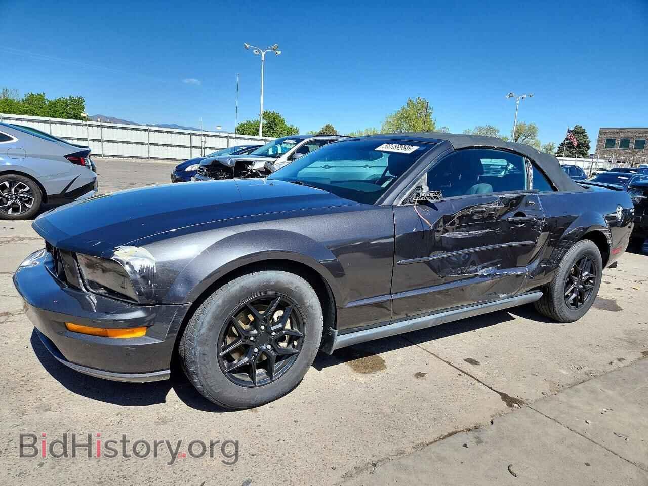 Фотография 1ZVFT84N375296017 - FORD MUSTANG 2007