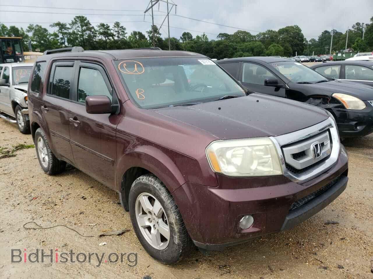 Фотография 5FNYF3H46BB012863 - HONDA PILOT 2011