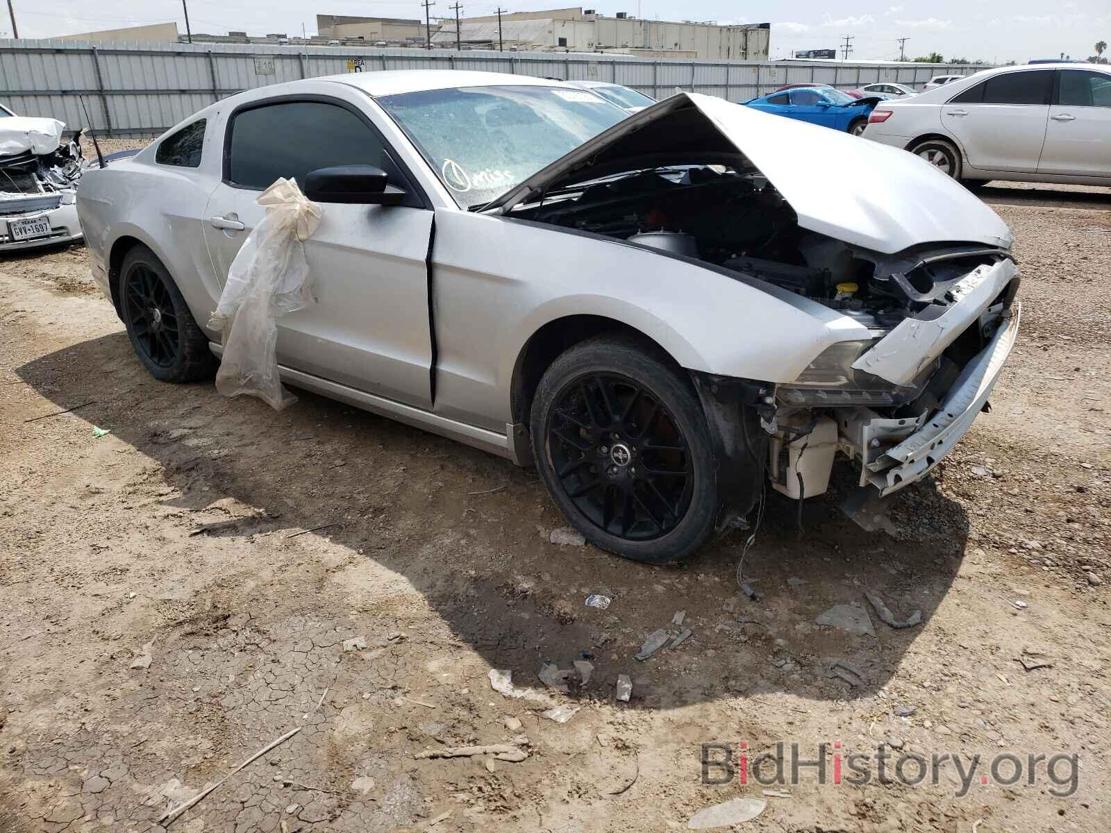 Photo 1ZVBP8AM7E5288059 - FORD MUSTANG 2014