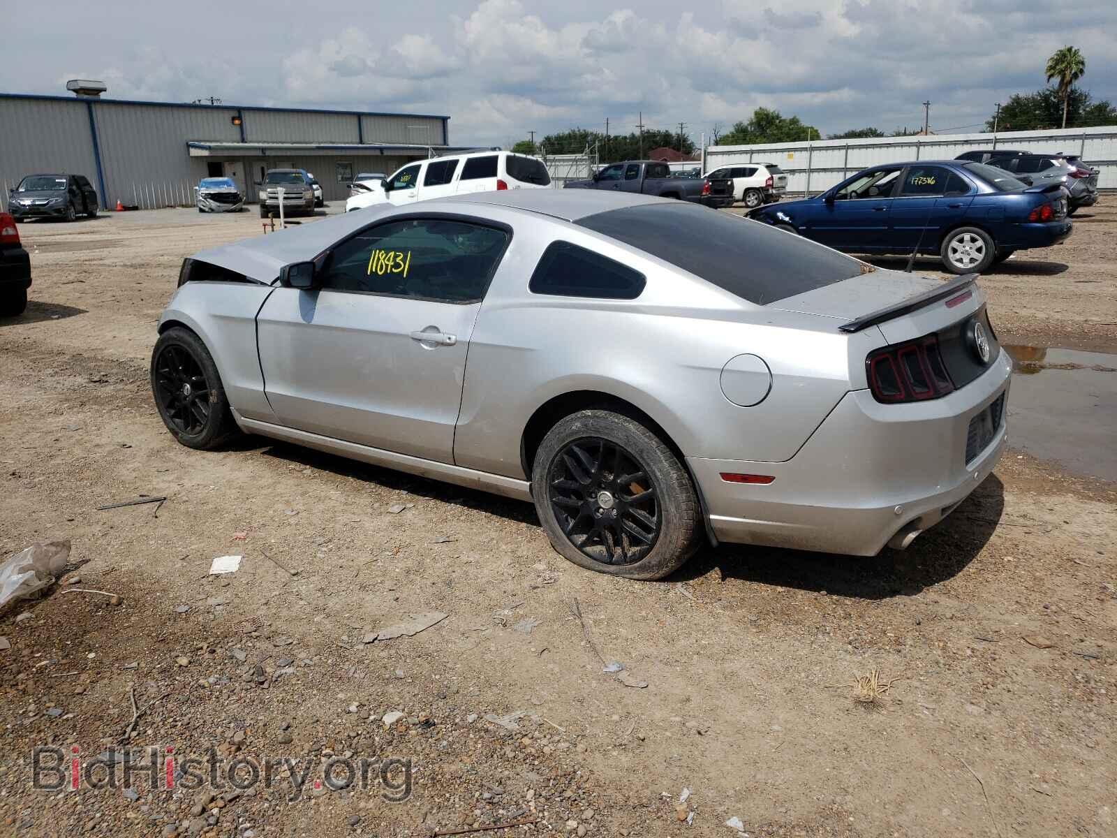 2014 FORD MUSTANG - VIN: 1ZVBP8AM7E5288059 - Фото 3