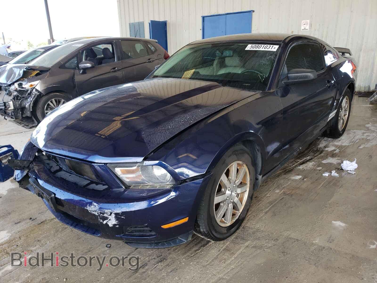 2010 FORD MUSTANG - VIN: 1ZVBP8AN2A5120915 - Фото 2